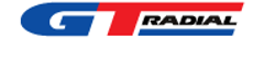 GT Radial 195 65 R15 91T Winterpro2 3PMSF 15236031