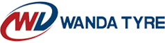 Wanda 195 55 R10C 98N 96N WR068 15290556