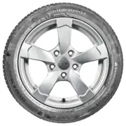 Continental WinterContact TS 830 P 205/55 R18 96H | reifen.com
