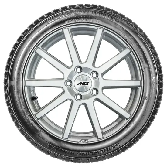 Seiberling 205 50 R16 87H Seiberling Winter 15171751