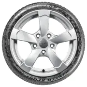 Dunlop 205 55 R16 91H SP Winter Sport 4D MS MFS 15113301
