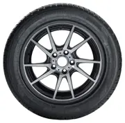 Tomket 205 50 R17 93V Snowroad Pro 3 XL 15233368