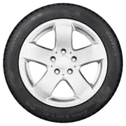 Viking 195 65 R15 95T WinTech XL MS 15324990