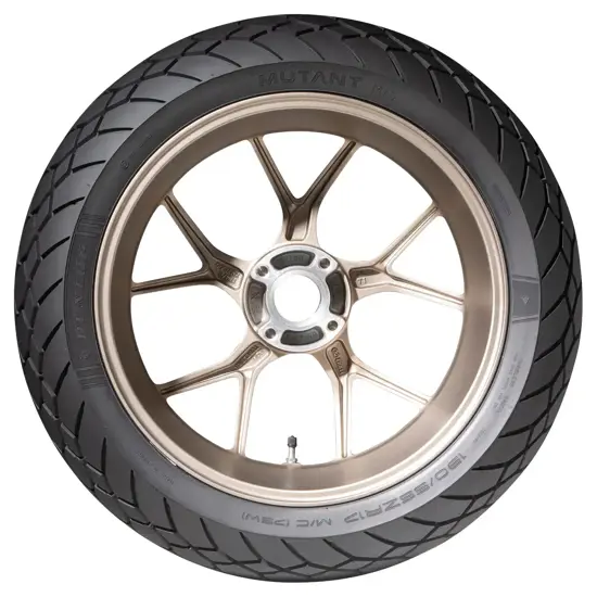Dunlop 160 60 ZR17 69W Mutant Rear MS M C 15329172