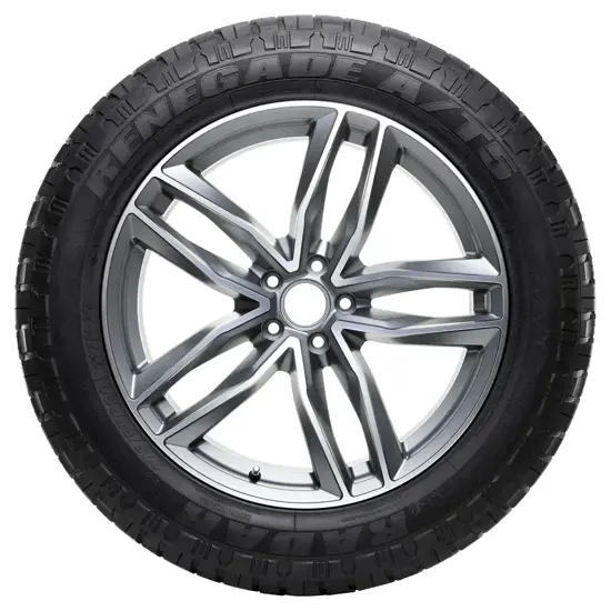 Radar LT305 55 R20 121S 118S Renegade A T 5 FSL MS 3PMSF 15284374