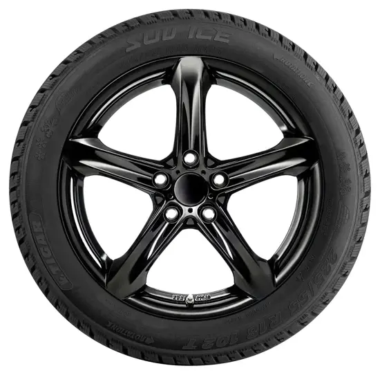 Tigar Ice SUV 215/60 R17 100T (Österreich) | reifen.com