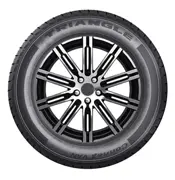 Triangle 205 65 R15C 102T 100T ConneX Van TV701 15330478