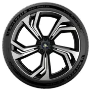 MICHELIN 255 40 R21 102W Pilot Sport EV XL I RG 15408960