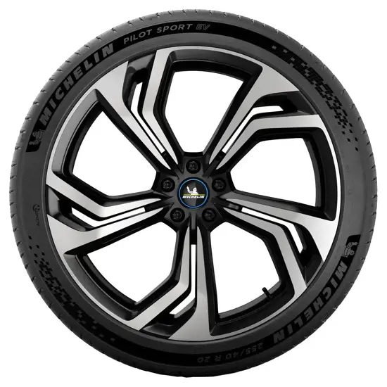 MICHELIN 255 40 R21 102W Pilot Sport EV XL I RG 15408960