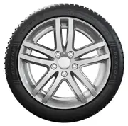 Dunlop 255 45 R19 104V Winter XL MFS EVR 15429391
