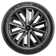 MICHELIN 255 45 R20 105Y Pilot Sport 5 Energy XL NRG 15441424