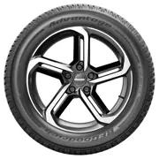BFGoodrich 205 55 R19 97V Advantage All Season XL 15368253