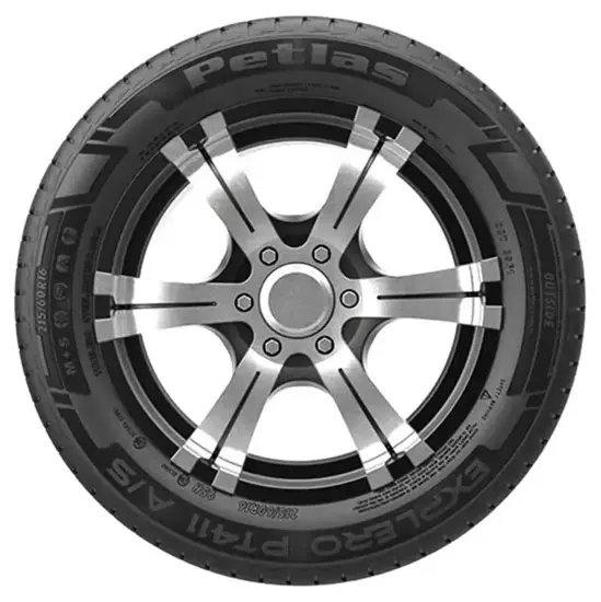 Petlas 255 65 R17 110H Explero A S PT411 15385851