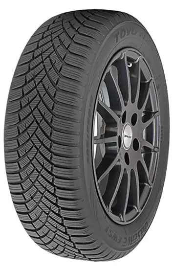 Toyo Observe EWS1